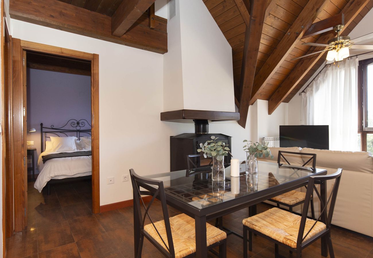 Apartamento en Panticosa - Ático de Cumbres by BeValle