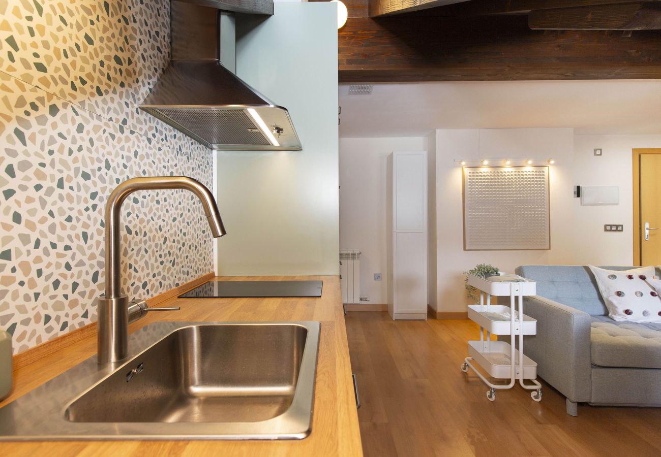 Apartamento en Escarrilla - La Buhardilla de Menta by BeValle