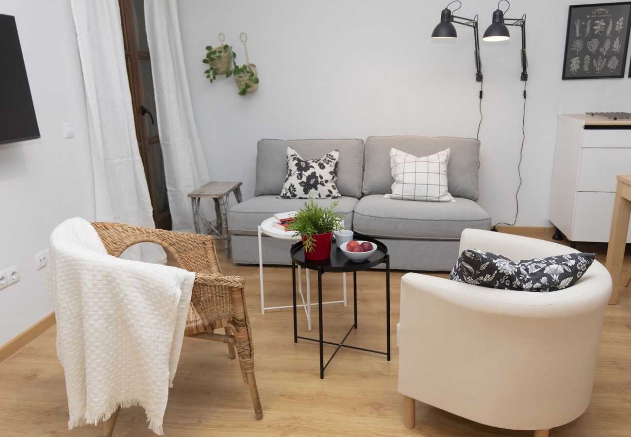Apartment in Panticosa - Casa Abedul