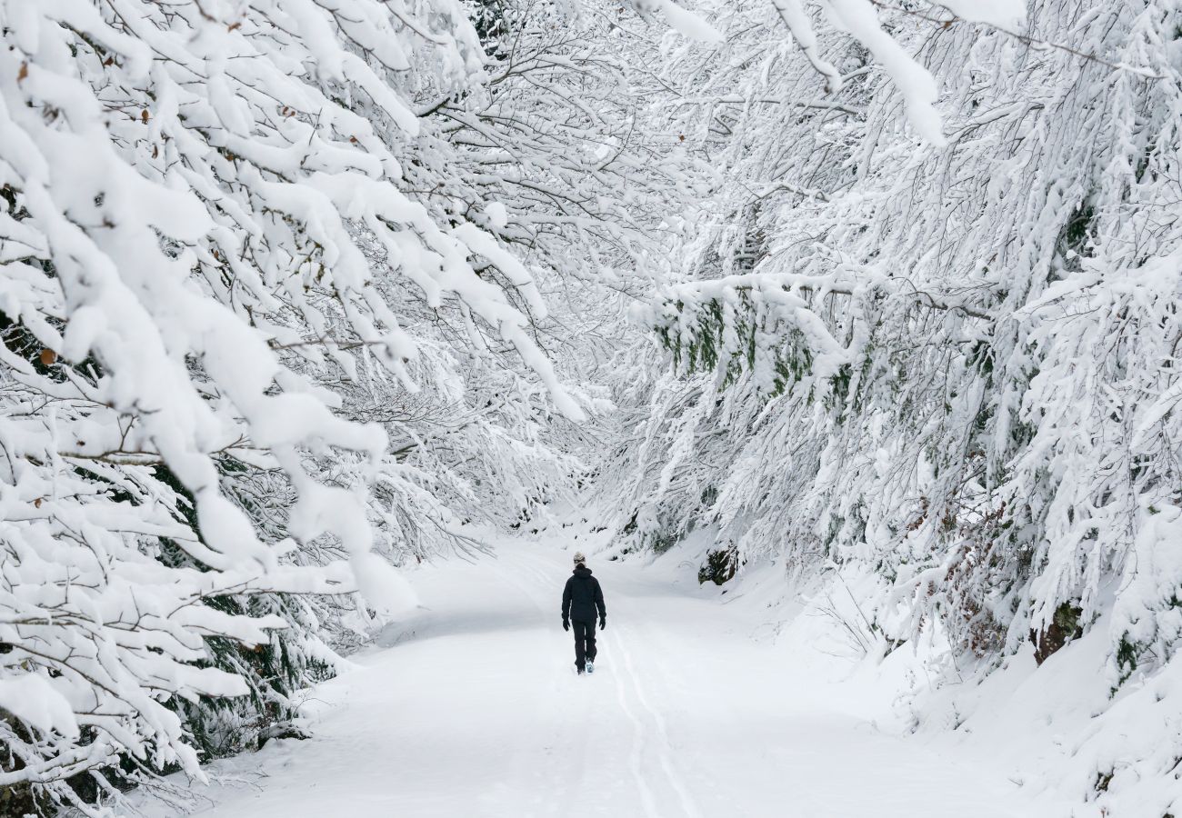 Apartment in Panticosa - Narnia by BeValle