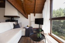 Apartment in Panticosa - Ático de CuMbres