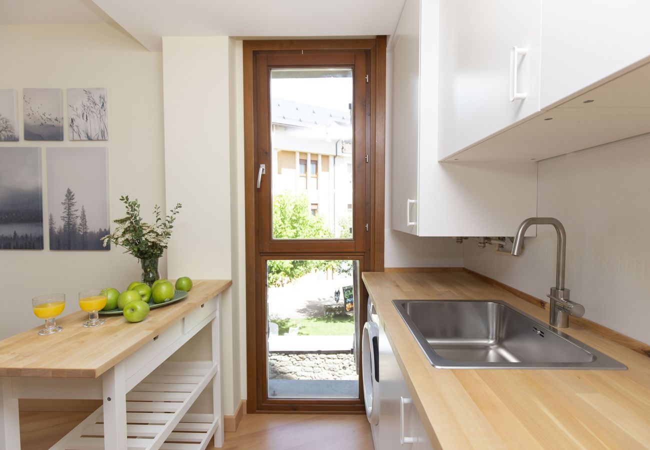 Apartment in Escarrilla - TenaNatura Ski by BeValle