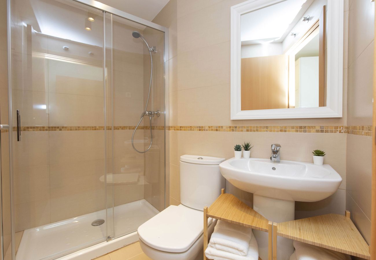 Apartment in Escarrilla - TenaNatura Ski by BeValle