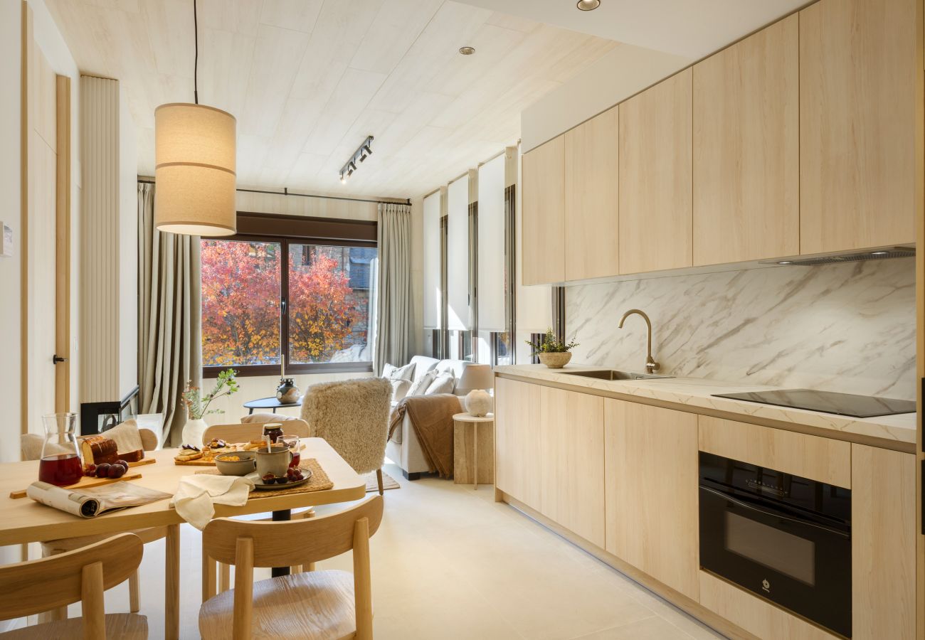 Cuisine moderne intégrée au salon dans un appartement touristique à Panticosa.