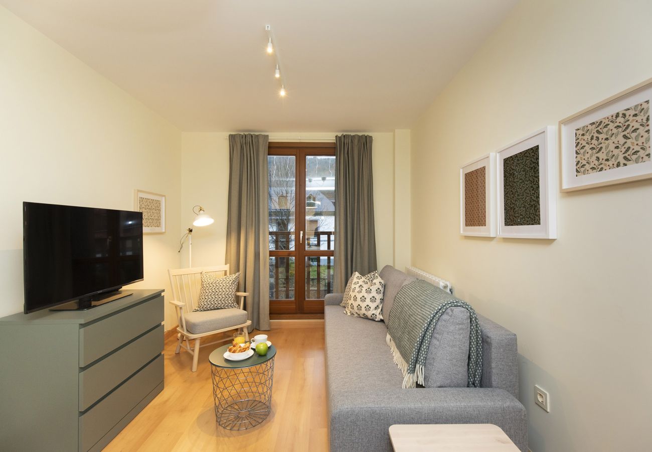 Appartement à Escarrilla - TenaEsquí I by BeValle