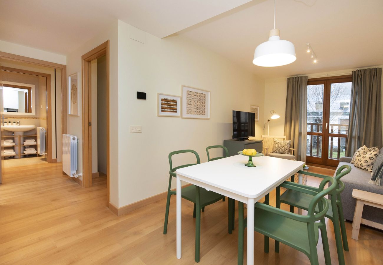 Appartement à Escarrilla - TenaEsquí I by BeValle