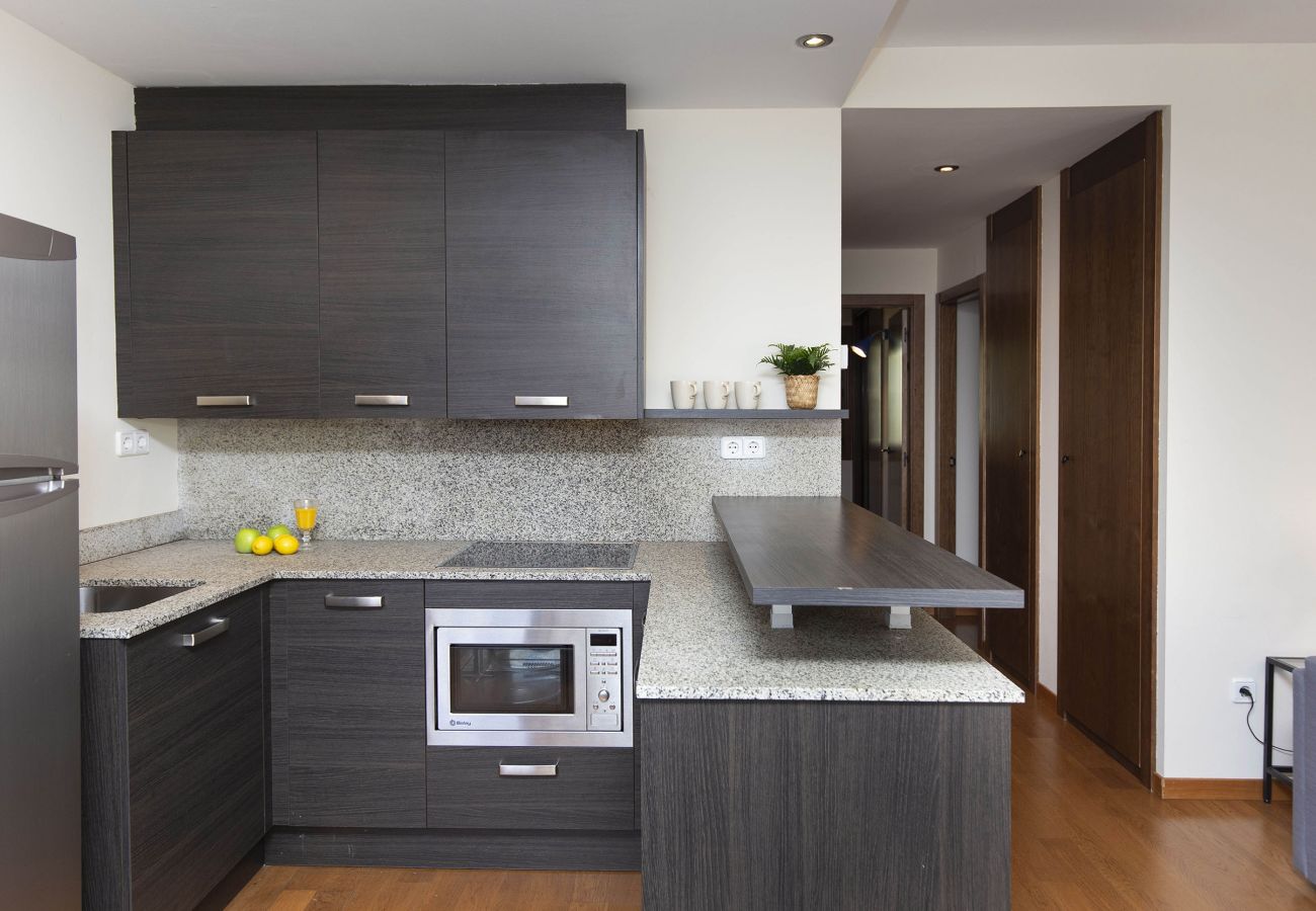 Cuisine ouverte sur le salon, moderne et entièrement équipée à Escarrilla.